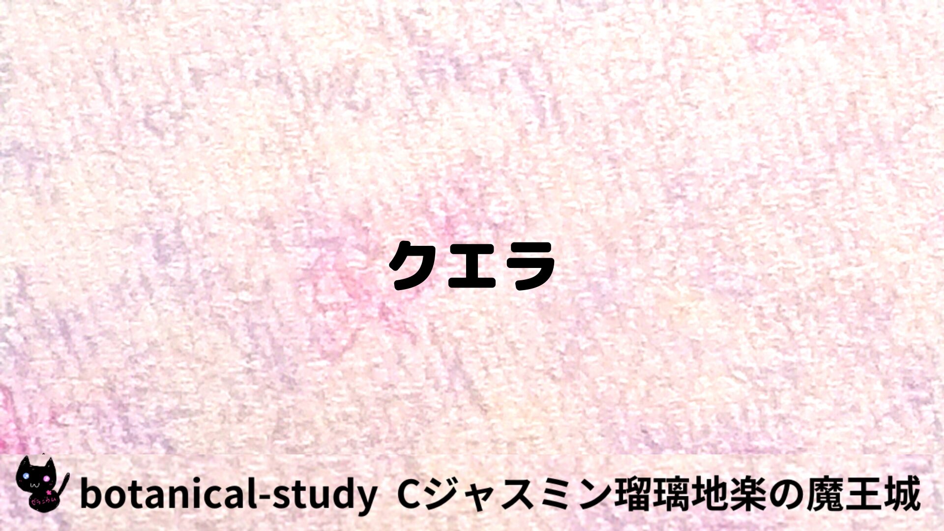 クエラのアロマハーブプチ辞典用アイキャッチ＠botanical-study