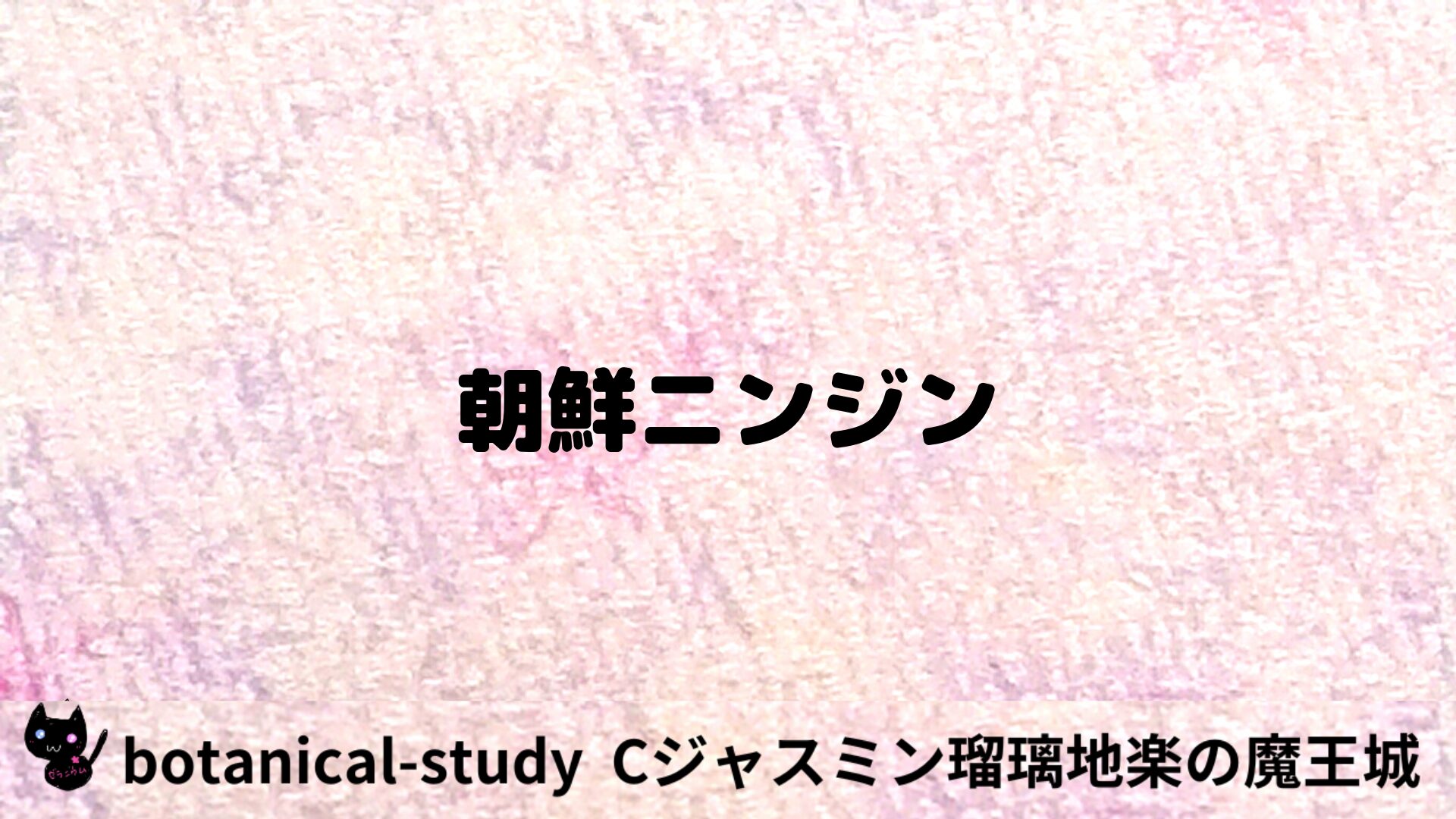 朝鮮ニンジンのアロマハーブプチ辞典用アイキャッチ＠botanical-study/ハーブ