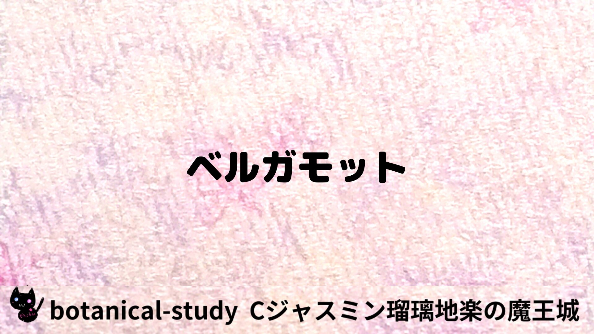 ベルガモットのアロマハーブプチ辞典用アイキャッチ＠botanical-study