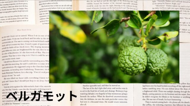 ベルガモット:プチ辞典