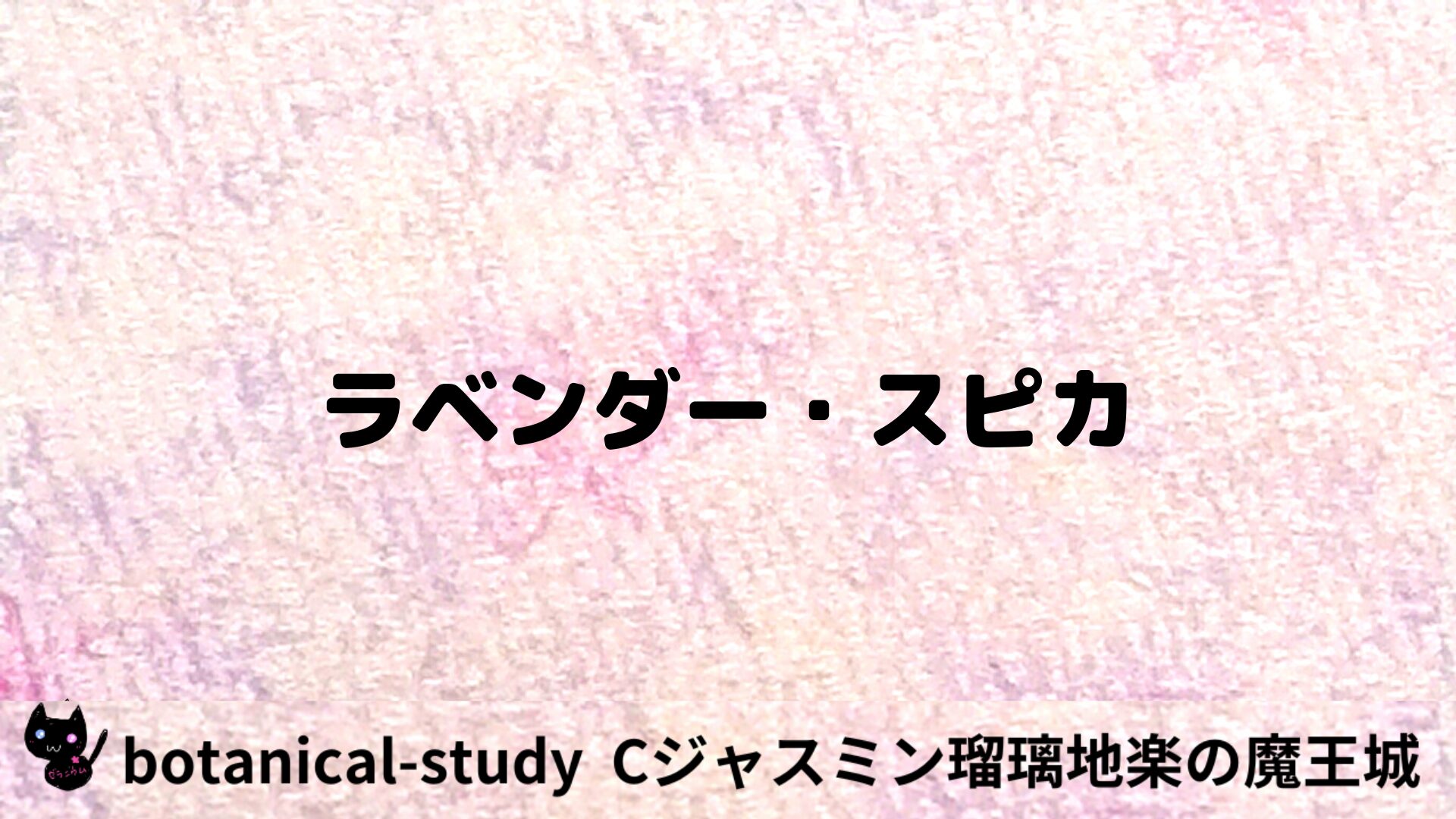 ラベンダー・スピカのアロマハーブプチ辞典用アイキャッチ＠botanical-study