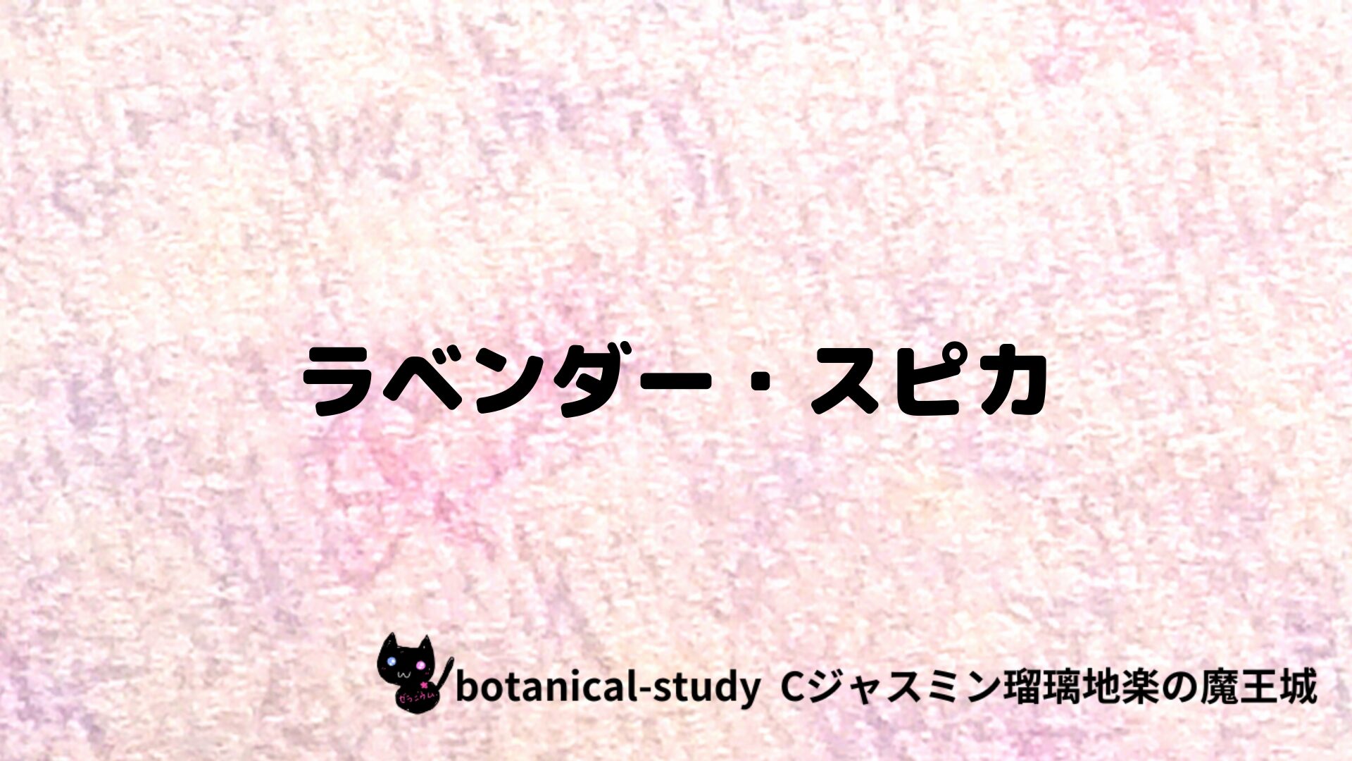 ラベンダー・スピカのアロマハーブプチ辞典クイズ用アイキャッチ＠botanical-study