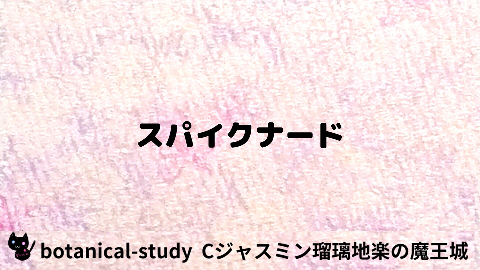 スパイクナードのアロマハーブプチ辞典用アイキャッチ＠botanical-study