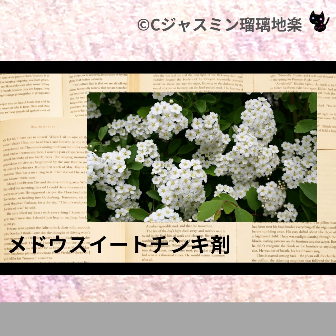 メドウスイートチンキ剤のアロマハーブプチ辞典クイズ用アイキャッチ＠botanical-study