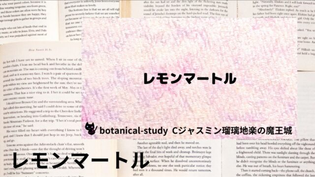 マートル・シネオール:プチ辞典