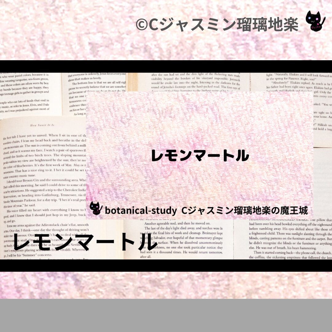 レモンマートルのアロマハーブプチ辞典クイズ用アイキャッチ＠botanical-study