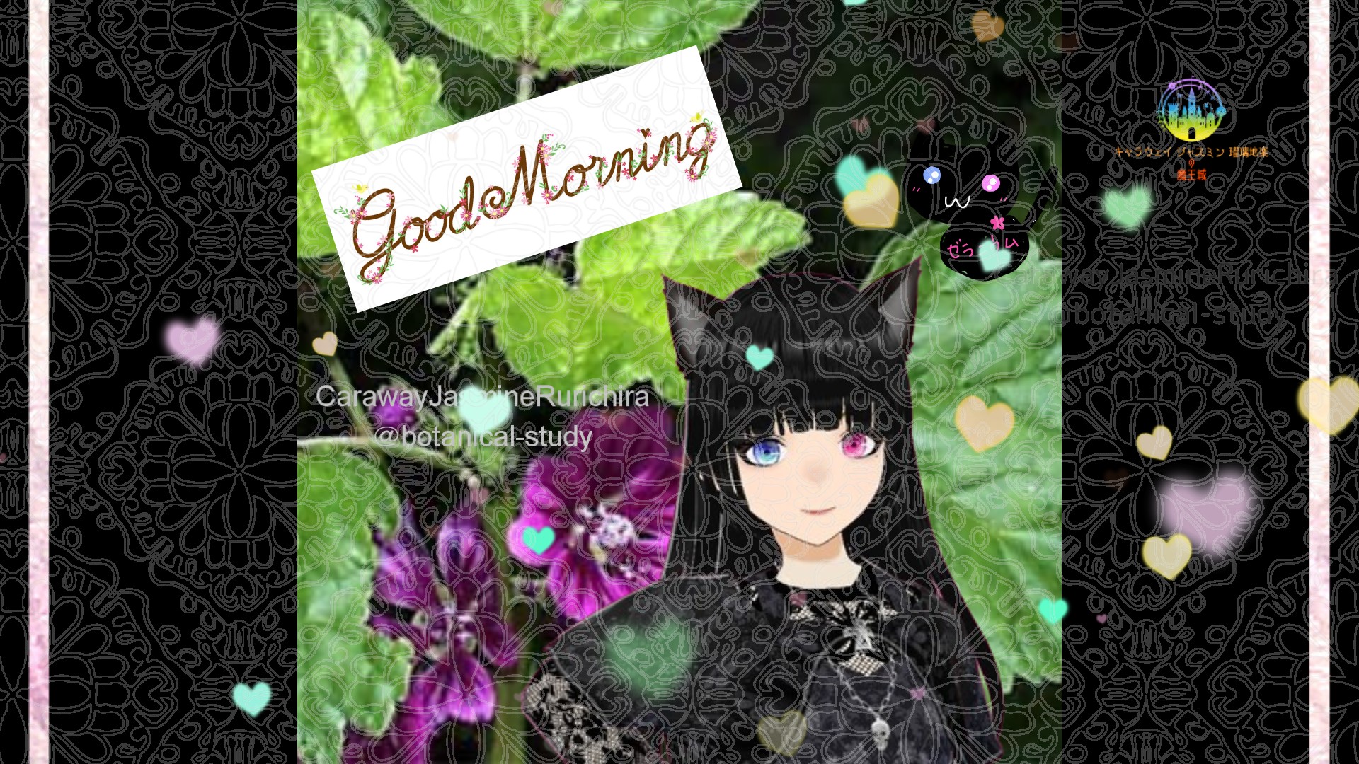 「ゼニアオイ」とCジャスミン瑠璃地楽の今日の誕生花B-3月21日@botanical-study