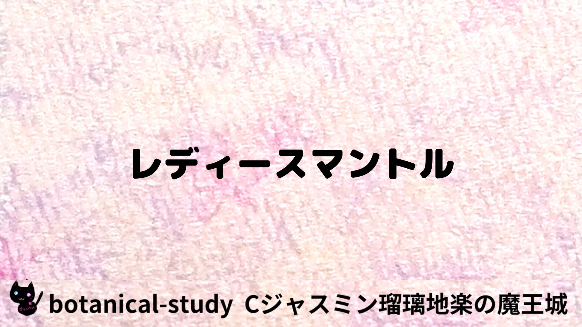 レディースマントルのアロマハーブプチ辞典用アイキャッチ＠botanical-study/ハーブ