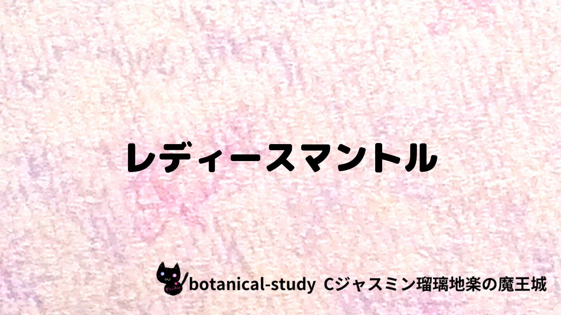 レディースマントルのアロマハーブプチ辞典クイズ用アイキャッチ＠botanical-study/ハーブ