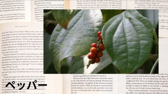 ペッパー:プチ辞典