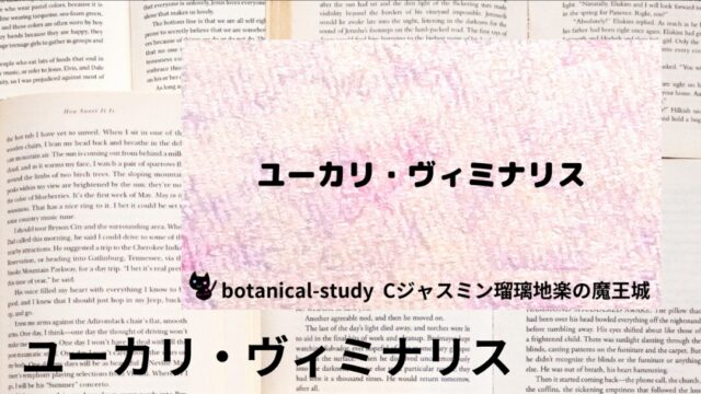 ユーカリ・ヴィミナリス:プチ辞典