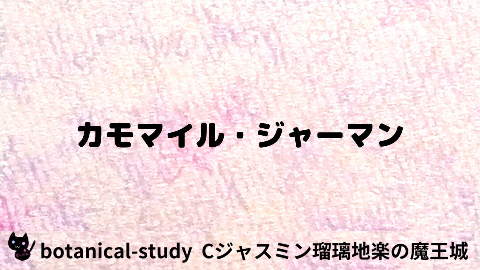 カモマイル・ジャーマンのアロマハーブプチ辞典用アイキャッチ＠botanical-study/ハーブ