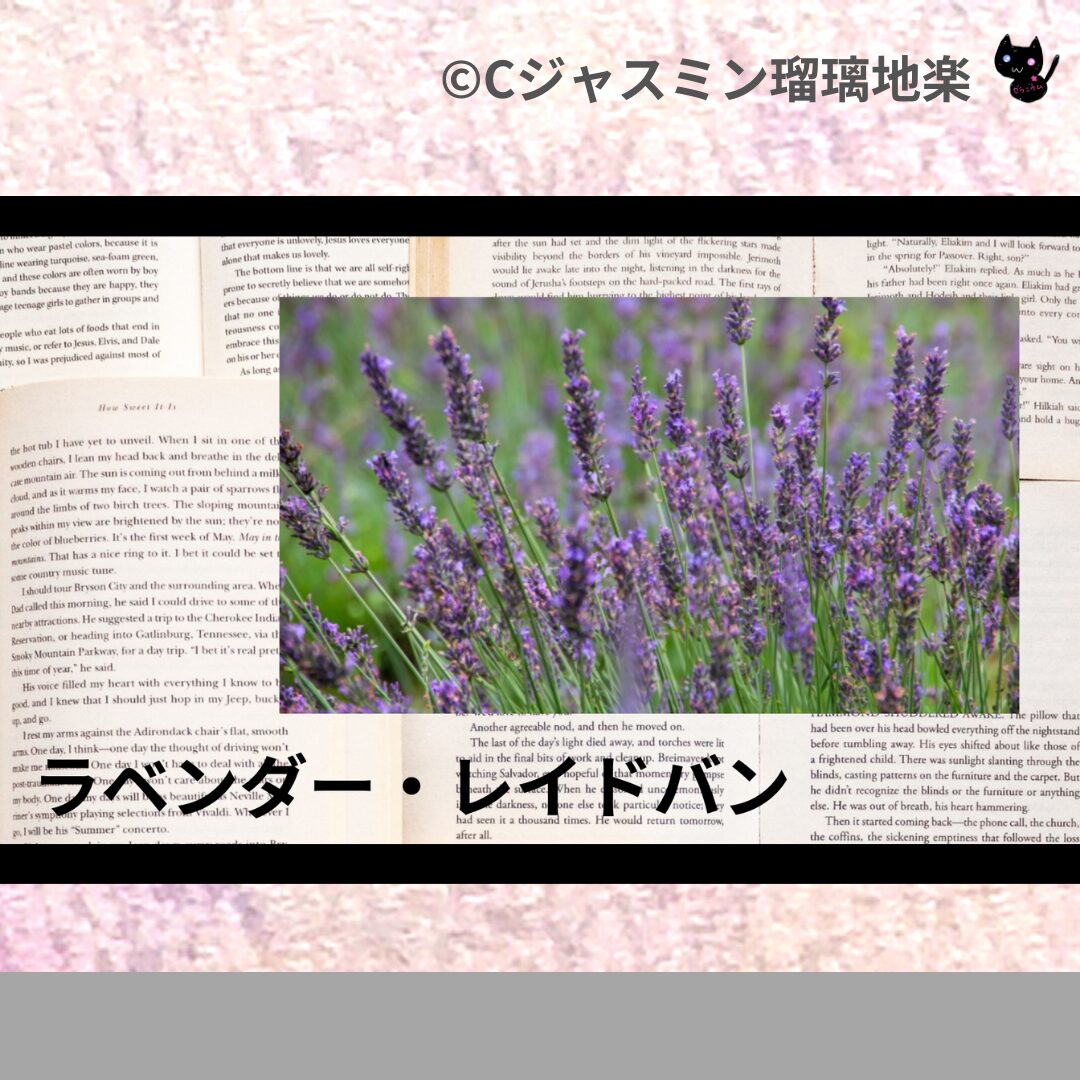 フェヌグリークのアロマハーブプチ辞典クイズ用アイキャッチ＠botanical-study/ハーブ