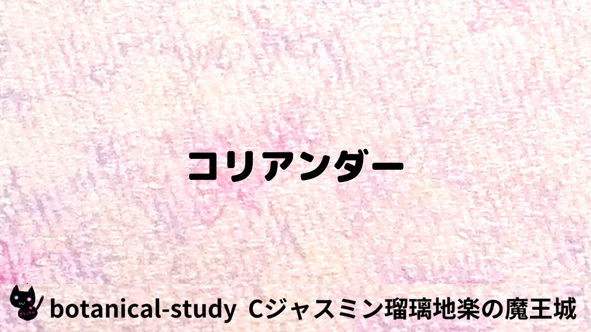 コリアンダーのアロマハーブプチ辞典用アイキャッチ＠botanical-study/ハーブ