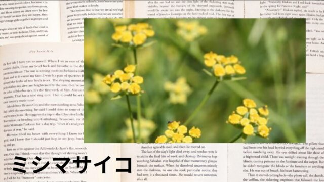 ミシマサイコ：プチ辞典