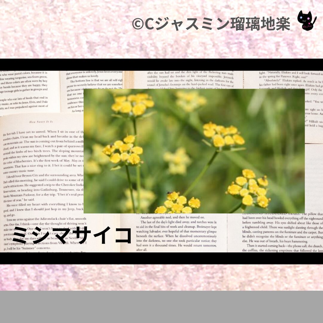 ヒバのアロマハーブプチ辞典クイズ用アイキャッチ＠botanical-study