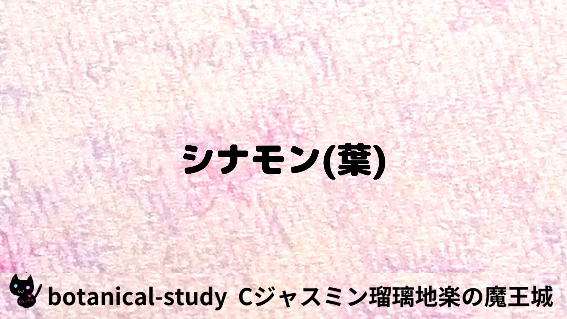 シナモン(葉)のアロマハーブプチ辞典クイズ用アイキャッチ＠botanical-study