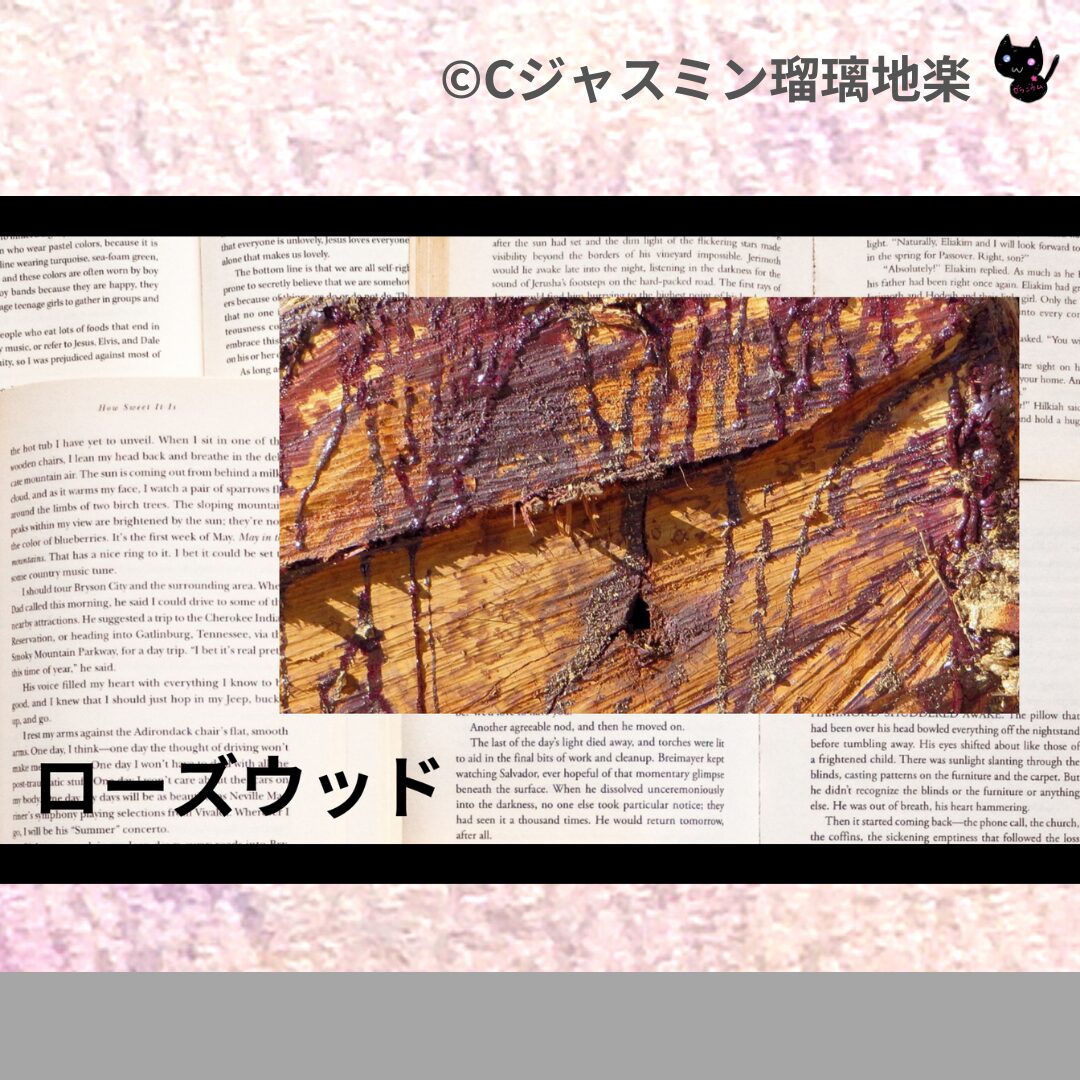 himalayan-cedar-ヒマラヤスギ/アイキャッチ-aromatherapy-herbs-petit-dictionary-quiz-botanical-study-gCJ.jpg