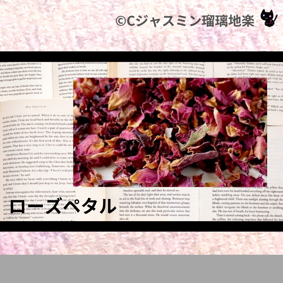 フェンネルのアロマハーブプチ辞典クイズ用アイキャッチ＠botanical-study/ハーブ