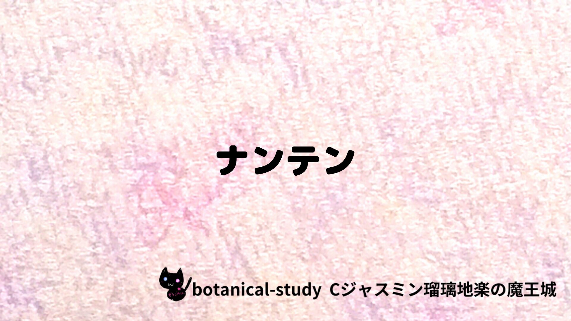 ナンテンのアロマハーブプチ辞典クイズ用アイキャッチ＠botanical-study/ハーブ