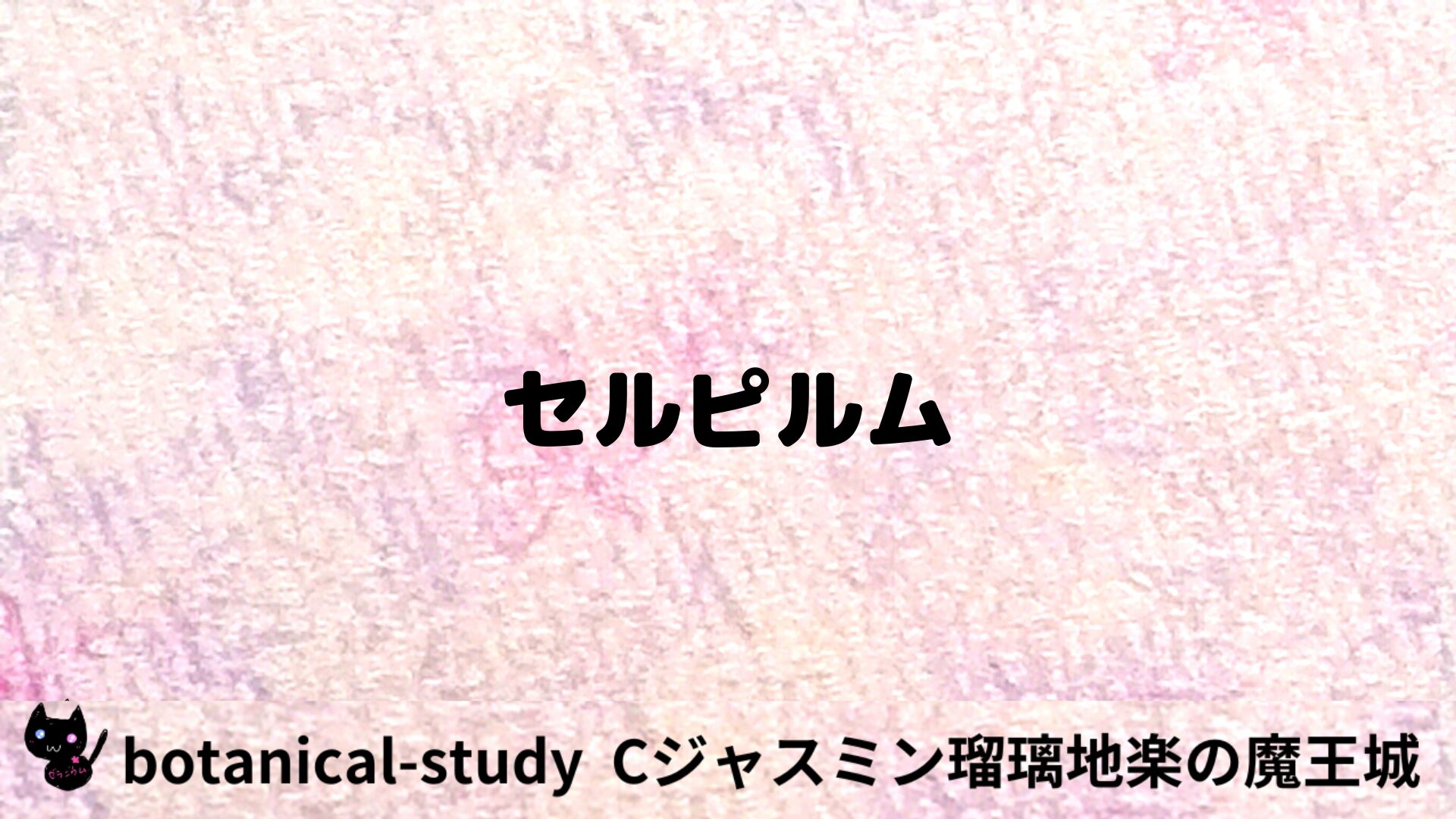 セルピルムのアロマハーブプチ辞典用アイキャッチ＠botanical-study/ハーブ