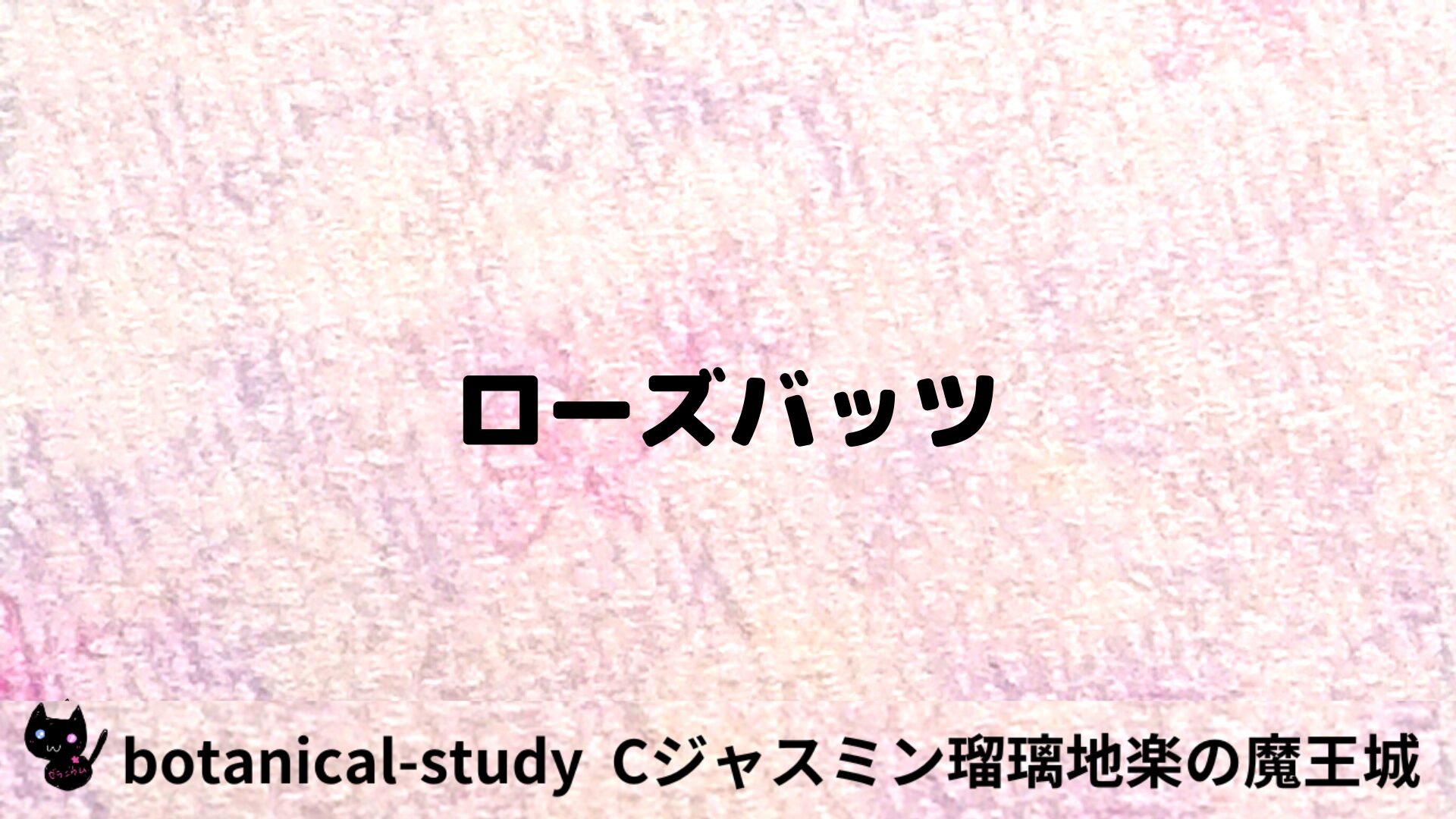 ローズバッツのアロマハーブプチ辞典用アイキャッチ＠botanical-study/ハーブ