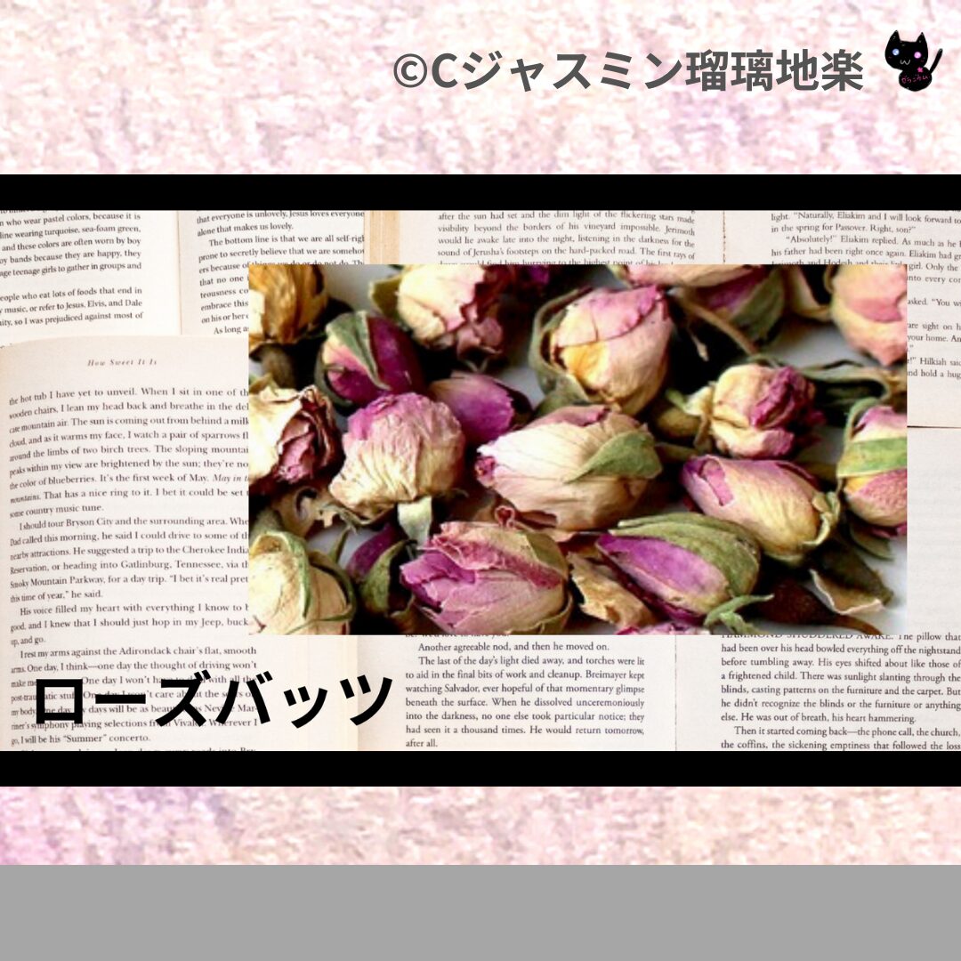 ヒバのアロマハーブプチ辞典クイズ用アイキャッチ＠botanical-study