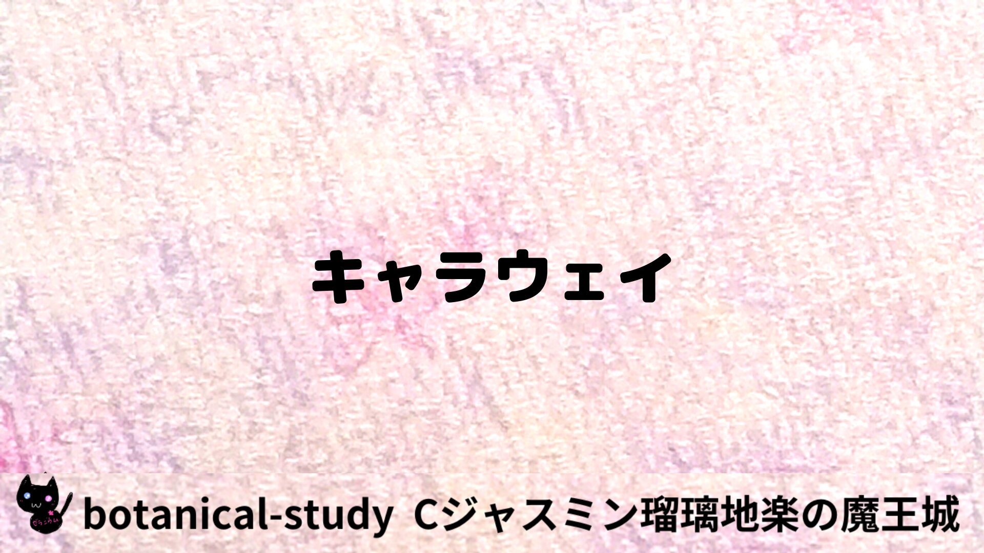 キャラウェイのアロマハーブプチ辞典用アイキャッチ＠botanical-study/ハーブ