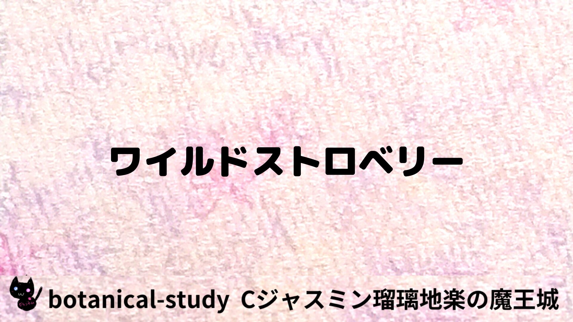 ワイルドストロベリーのアロマハーブプチ辞典用アイキャッチ＠botanical-study/ハーブ