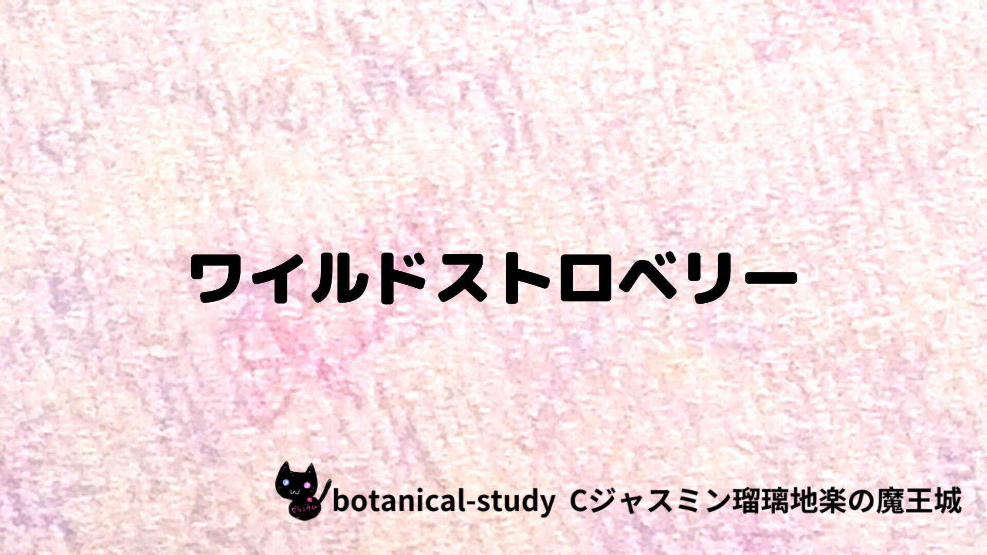 ワイルドストロベリーのアロマハーブプチ辞典クイズ用アイキャッチ＠botanical-study/ハーブ