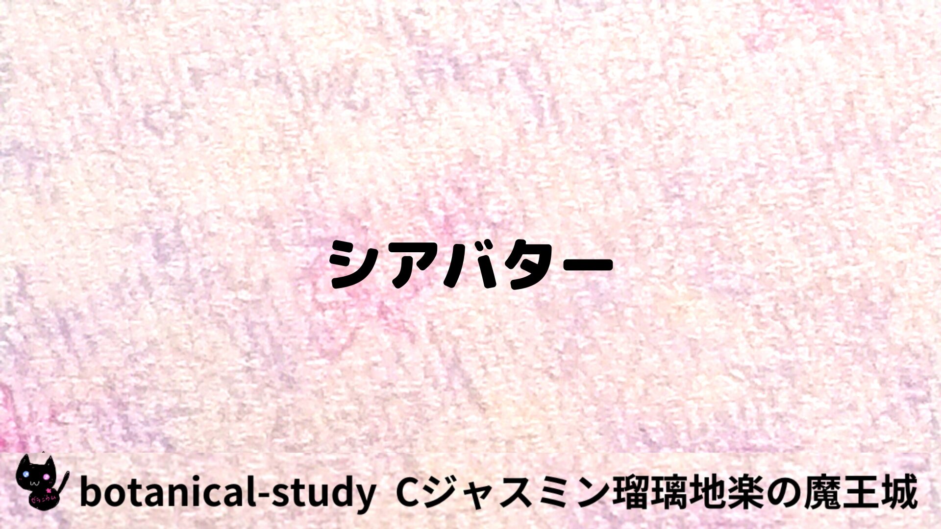 シアバターのアロマハーブプチ辞典用アイキャッチ＠botanical-study