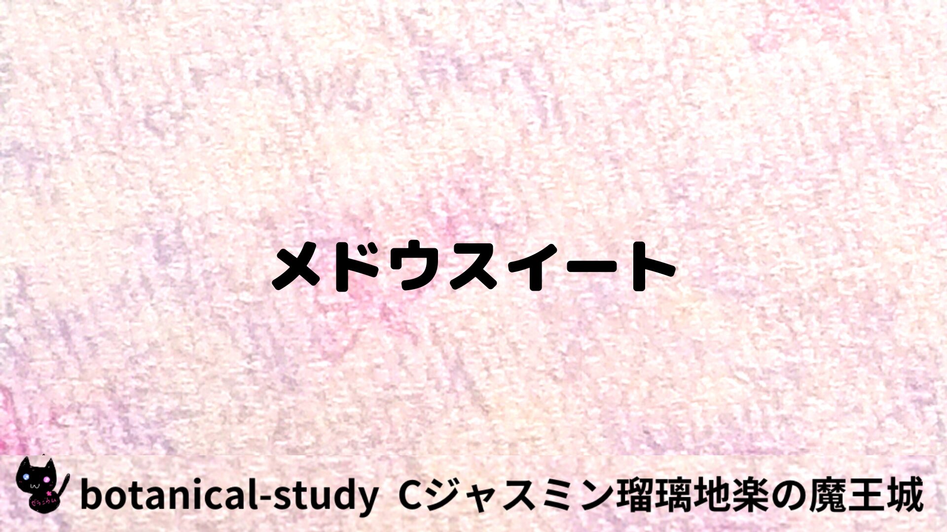 メドウスイートのアロマハーブプチ辞典用アイキャッチ＠botanical-study/ハーブ