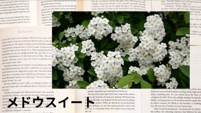 メドウスイート：プチ辞典