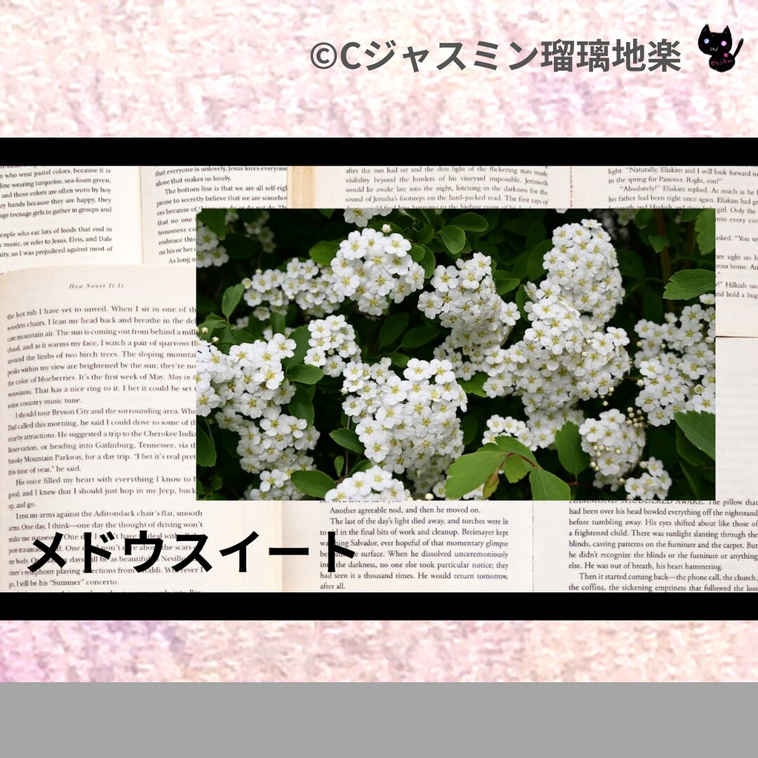 メドウスイートのアロマハーブプチ辞典クイズ用アイキャッチ＠botanical-study/ハーブ