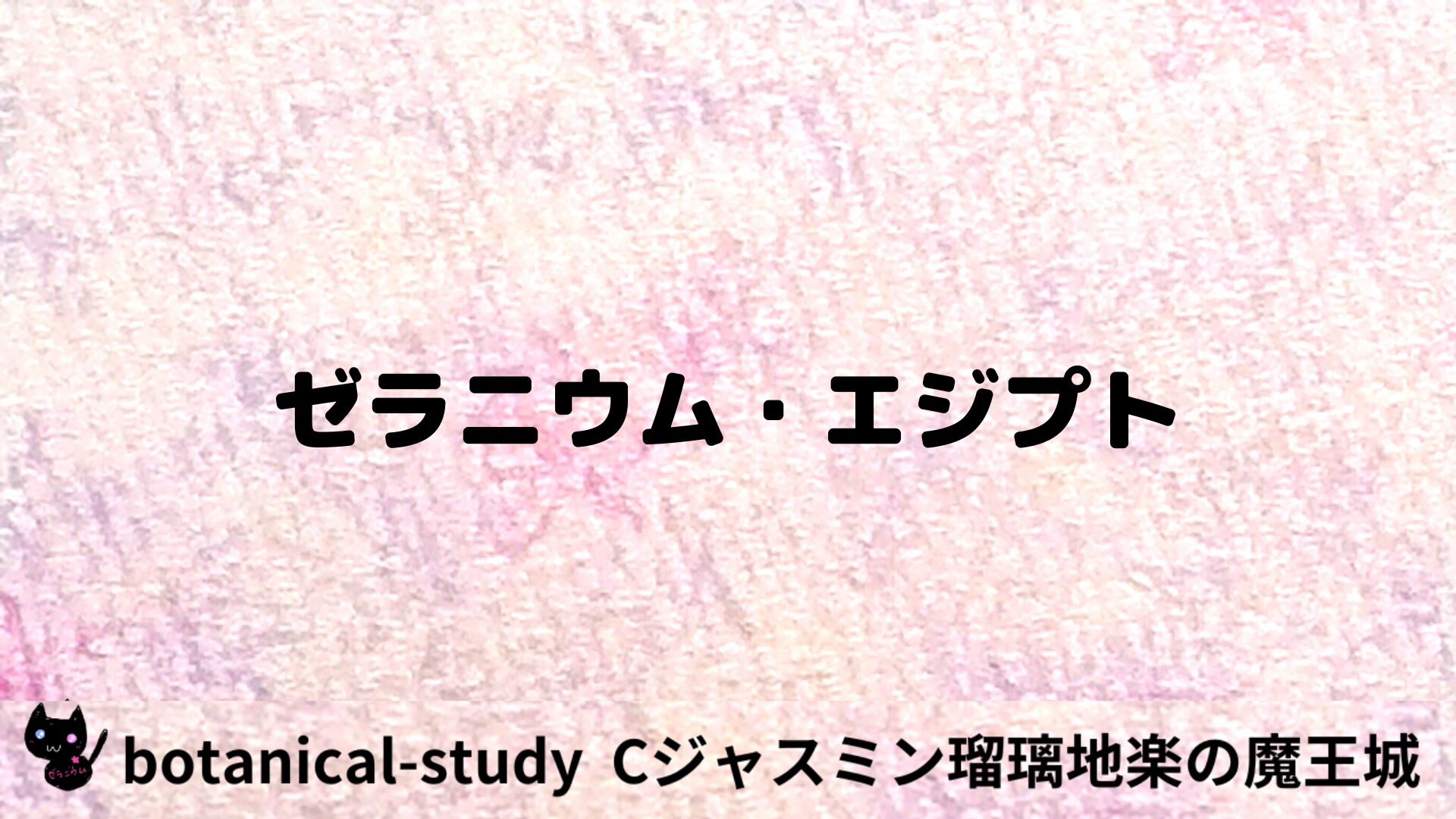 ゼラニウム・エジプトのアロマハーブプチ辞典用アイキャッチ＠botanical-study