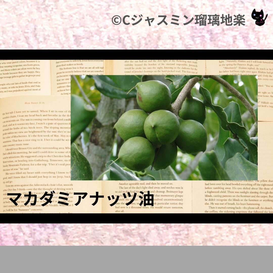 フェンネルのアロマハーブプチ辞典クイズ用アイキャッチ＠botanical-study/ハーブ