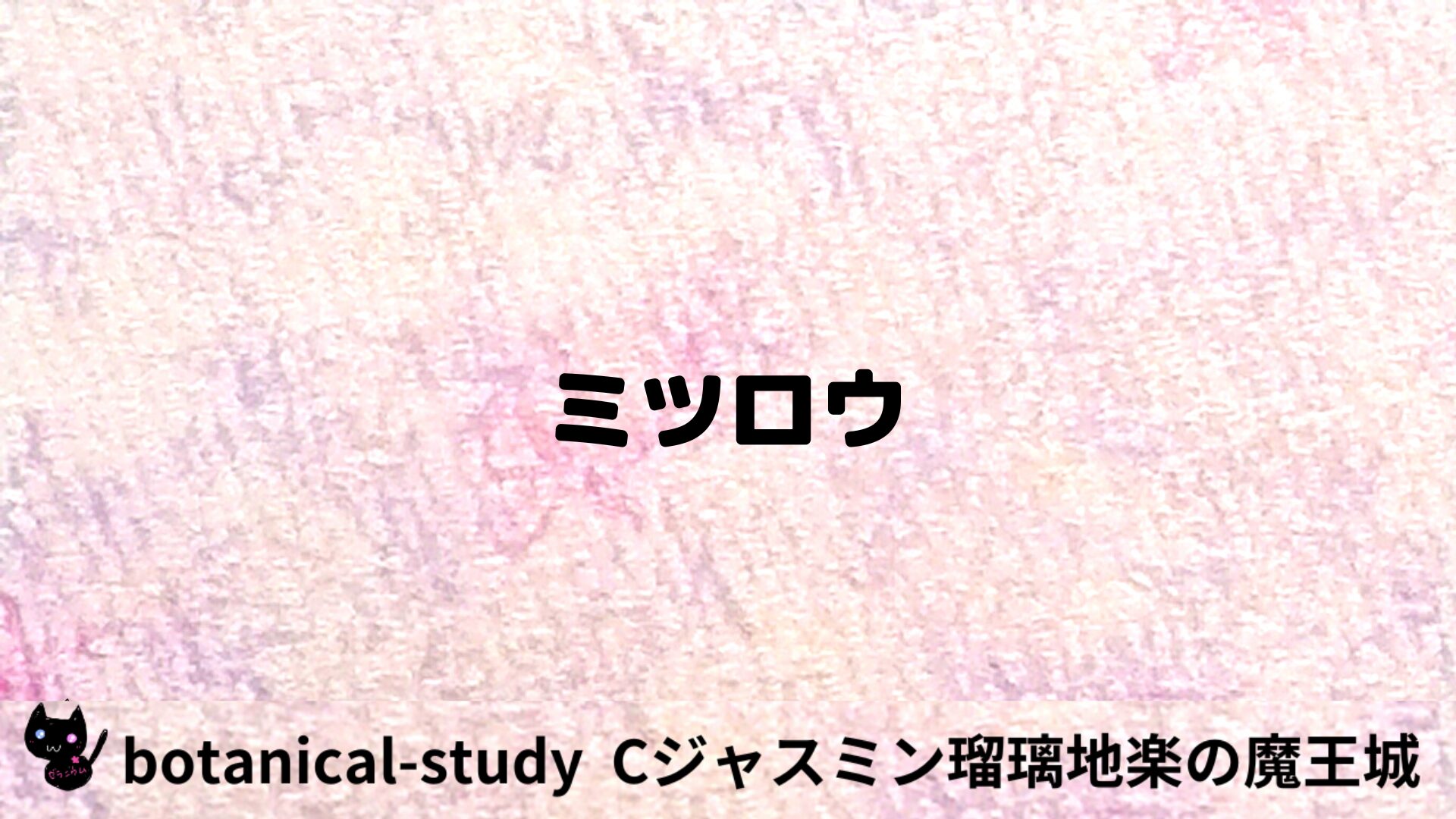 ミツロウのアロマハーブプチ辞典用アイキャッチ＠botanical-study