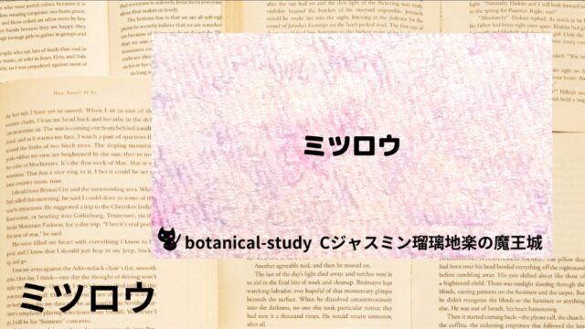 ミツロウ:プチ辞典