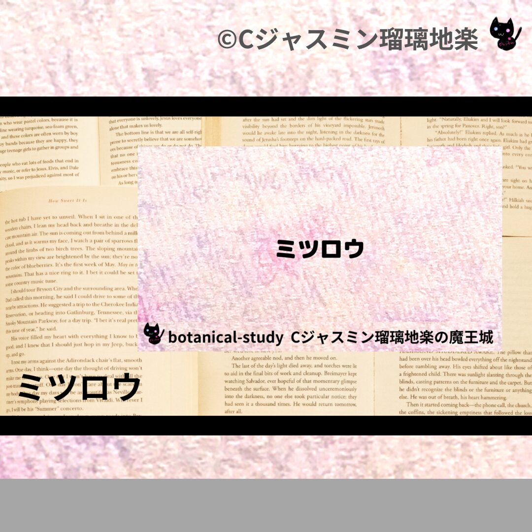 フェヌグリークのアロマハーブプチ辞典クイズ用アイキャッチ＠botanical-study/ハーブ