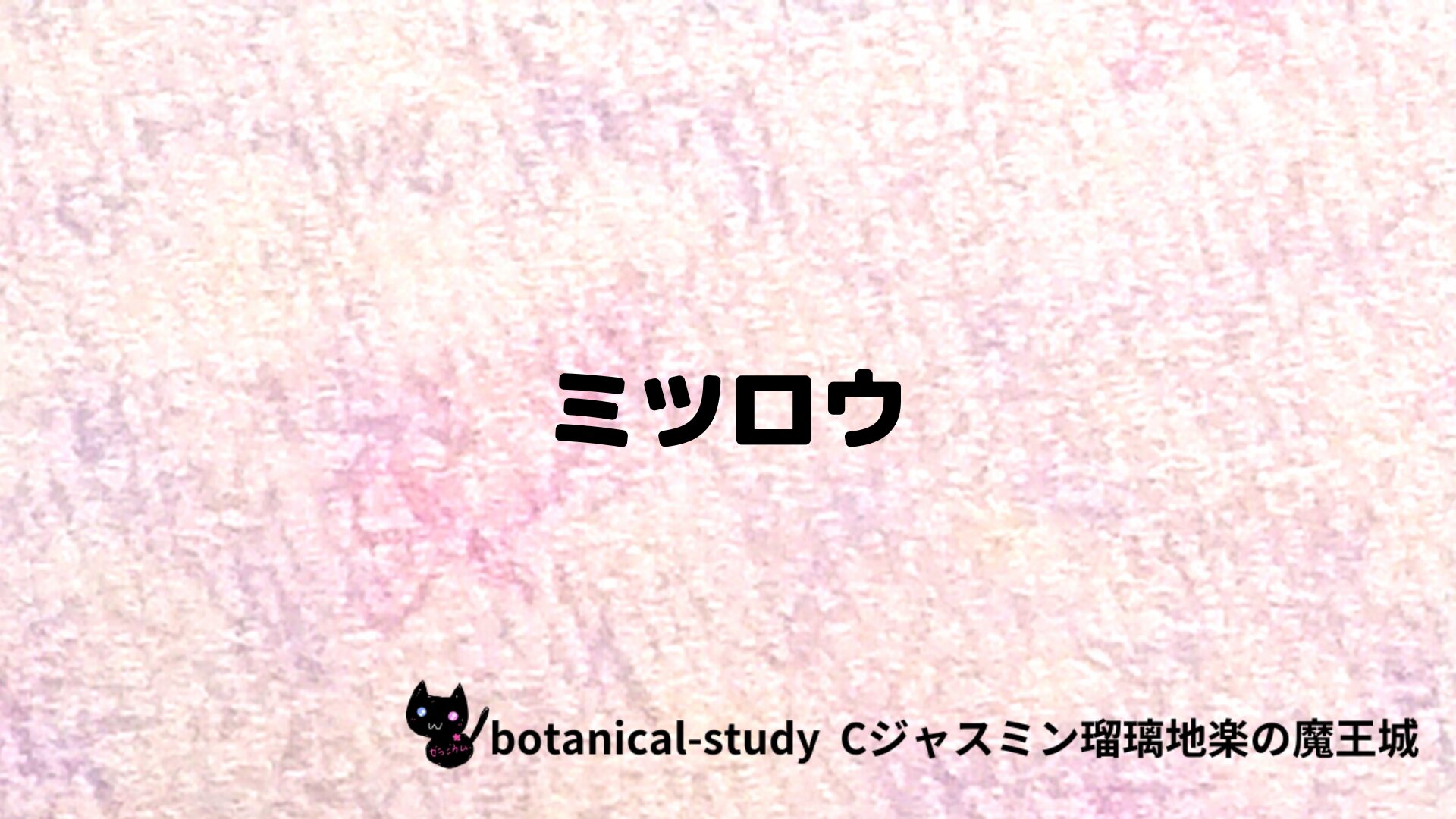 ミツロウのアロマハーブプチ辞典クイズ用アイキャッチ＠botanical-study