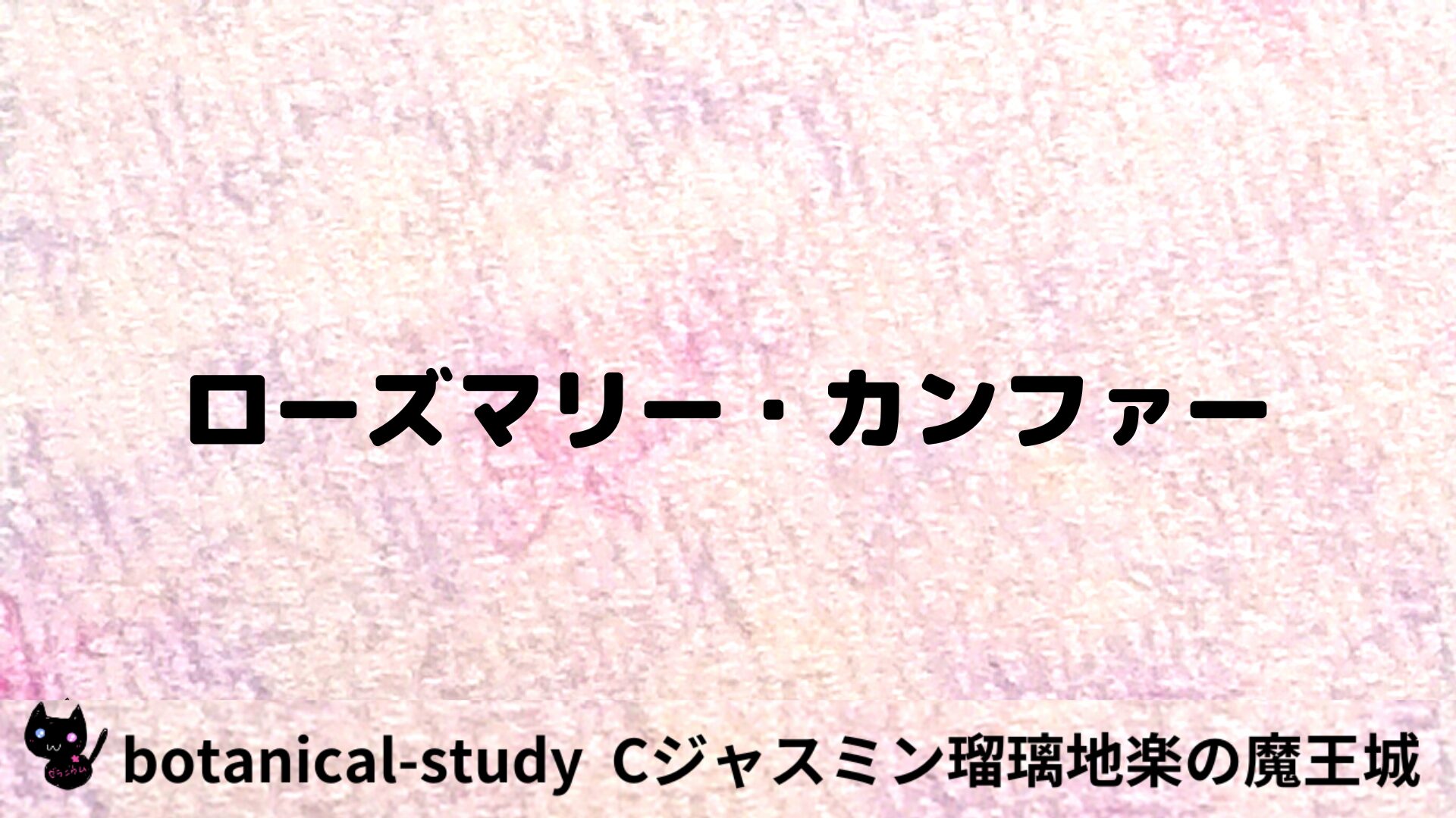 ローズマリー・カンファーのアロマハーブプチ辞典用アイキャッチ＠botanical-study