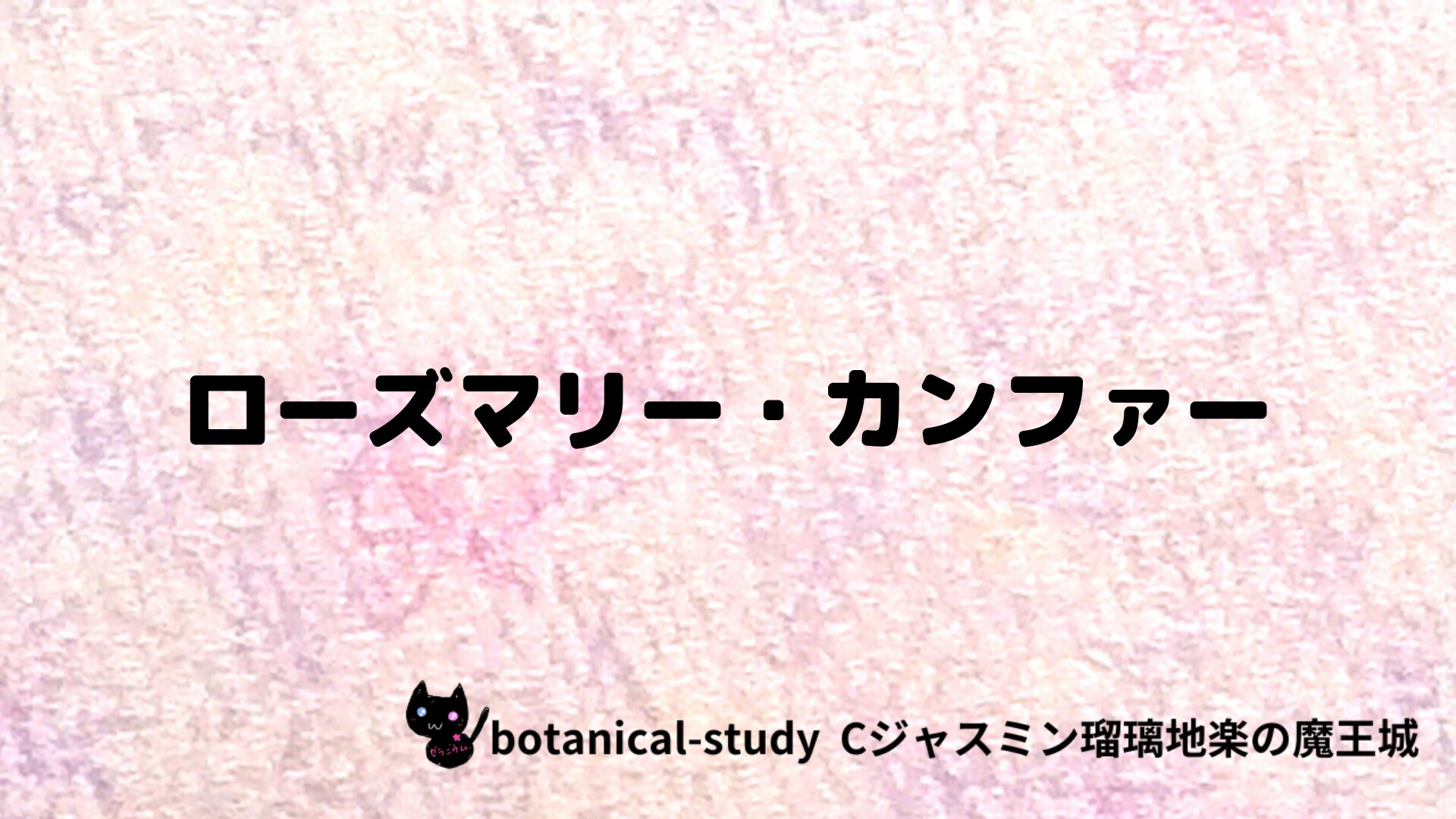 ローズマリー・カンファーのアロマハーブプチ辞典クイズ用アイキャッチ＠botanical-study