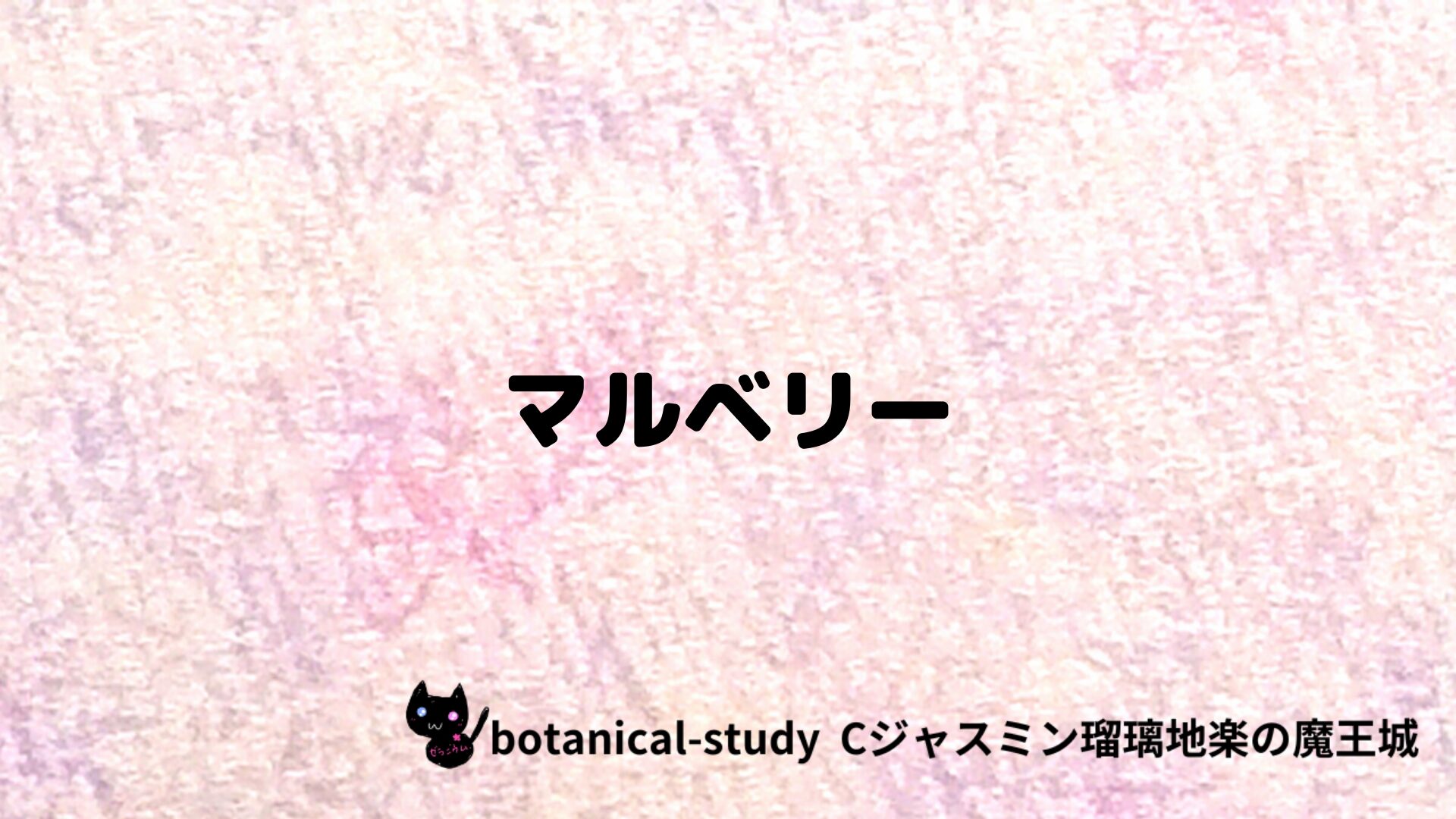 マルベリーのアロマハーブプチ辞典クイズ用アイキャッチ＠botanical-study/ハーブ