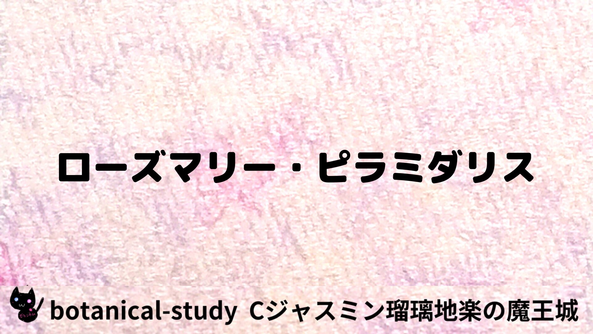 ローズマリー・ピラミダリスのアロマハーブプチ辞典用アイキャッチ＠botanical-study