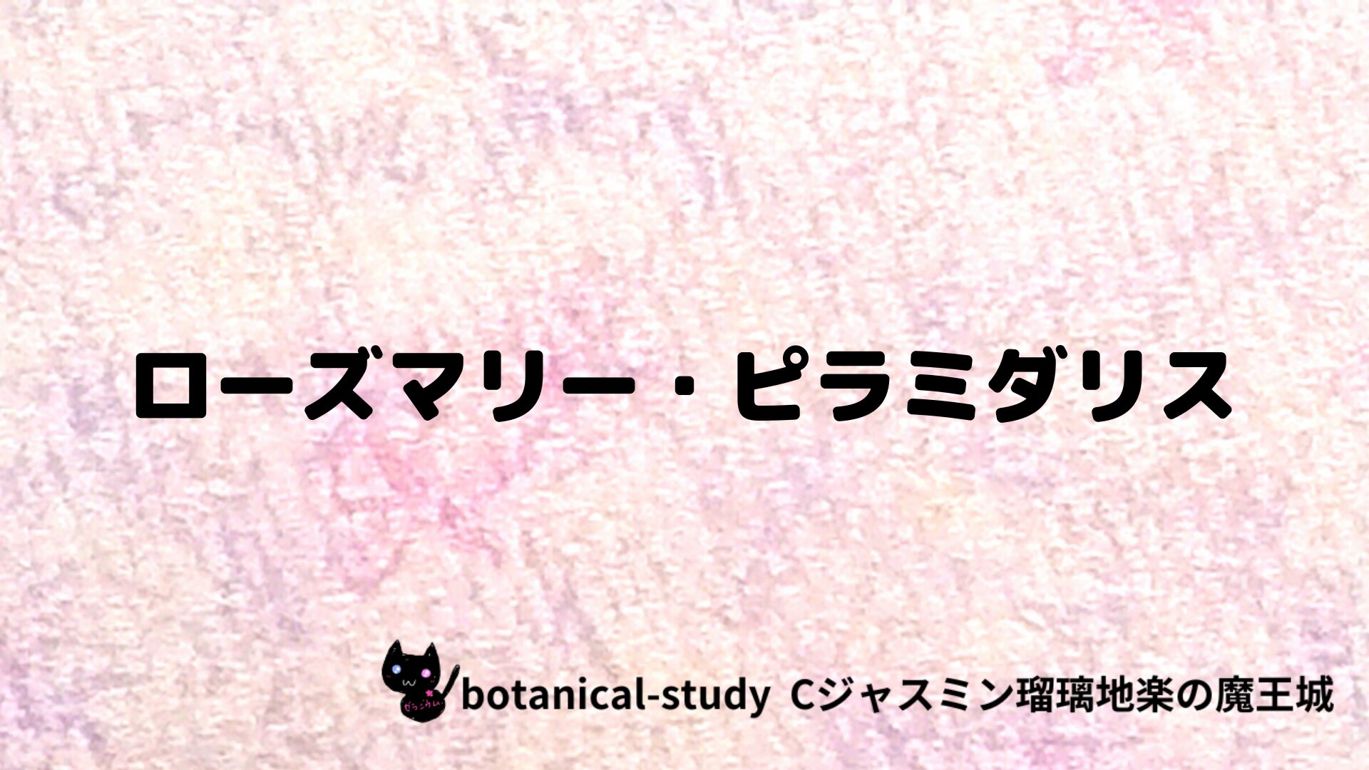 ローズマリー・ピラミダリスのアロマハーブプチ辞典クイズ用アイキャッチ＠botanical-study