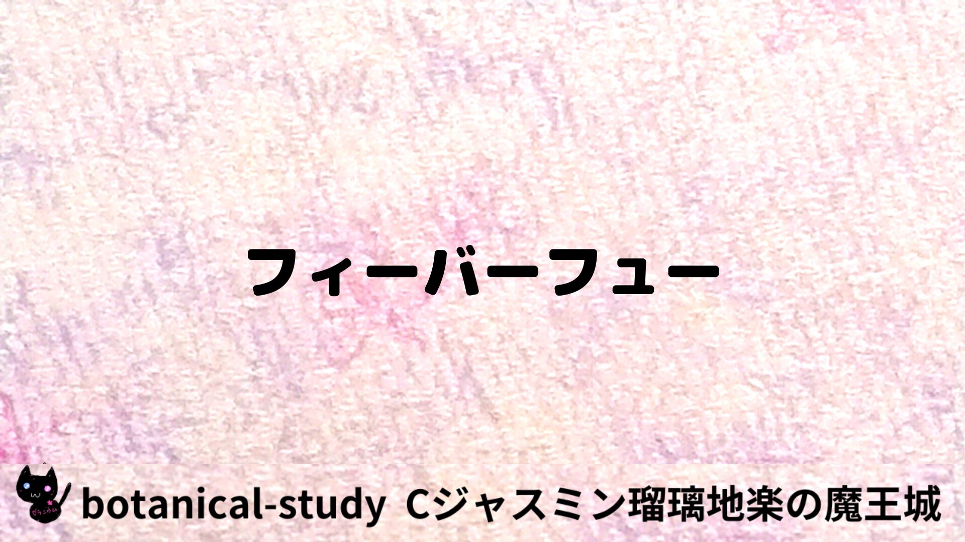 フィーバーフューのアロマハーブプチ辞典用アイキャッチ＠botanical-study/ハーブ