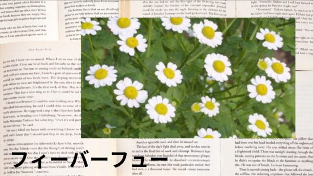 フィーバーフュー：プチ辞典
