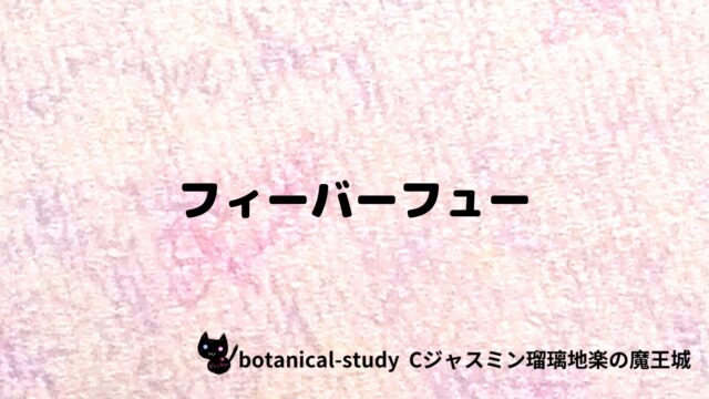 フィーバーフュー：プチ辞典クイズ