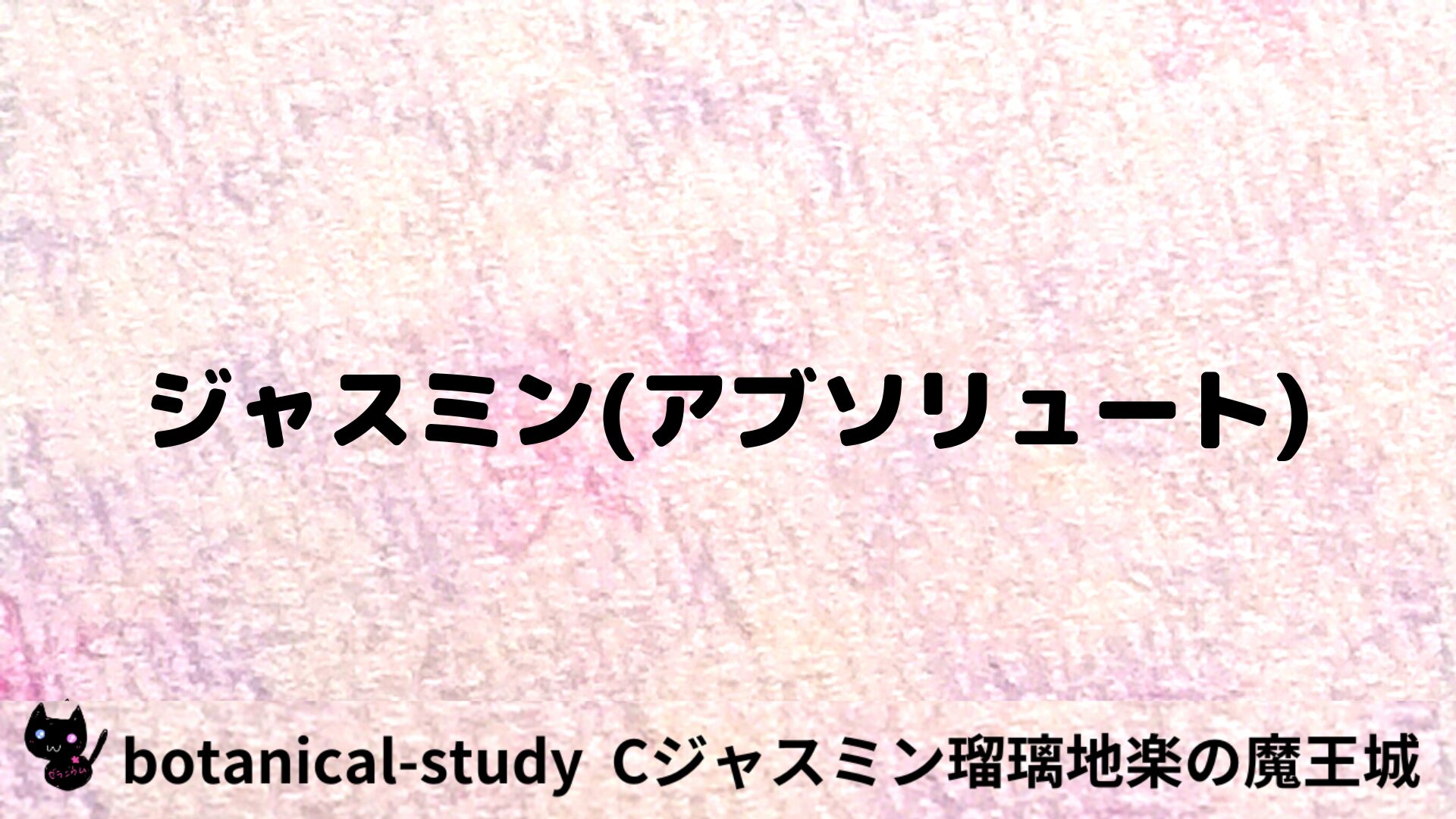 ジャスミン（アブソリュート）のアロマハーブプチ辞典用アイキャッチ＠botanical-study