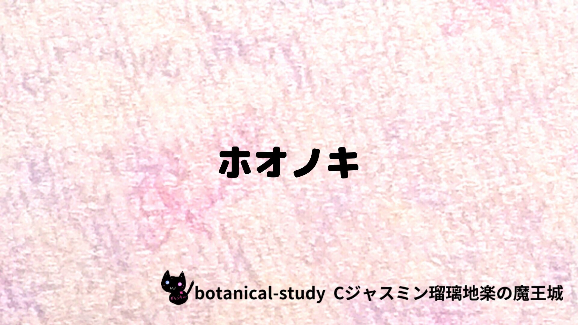 ホオノキのアロマハーブプチ辞典クイズ用アイキャッチ＠botanical-study/ハーブ